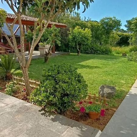 Casa Azores Zen Ribeira Grande Exterior foto